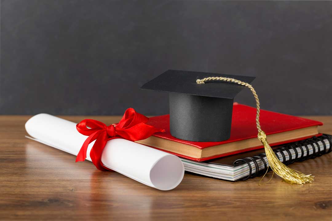 Business Administration Diploma Program Vs Early Childcare Assistant Diploma Program In Canada