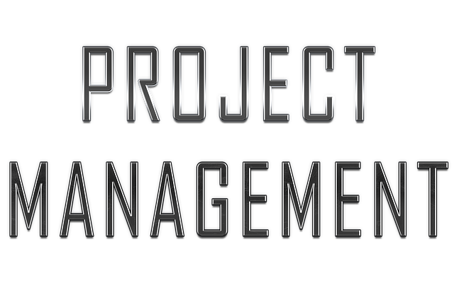 Project Management