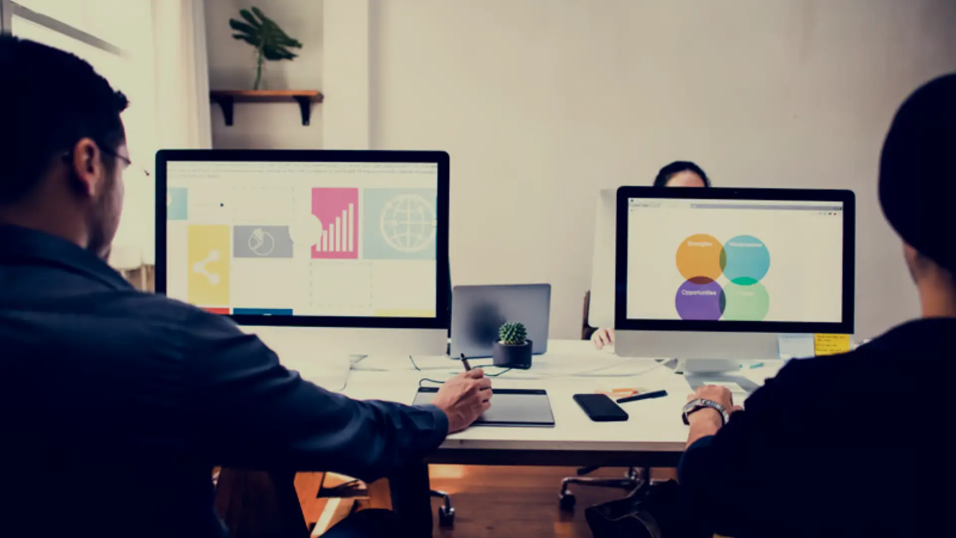 web development program